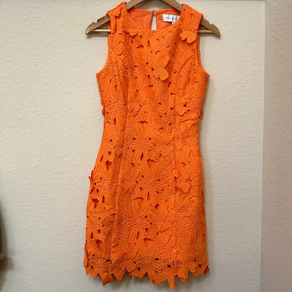 Endless Rose Anthropologie Cocktail Floral Embroidered 3D Lace Mini Dress Size S - Picture 7 of 14